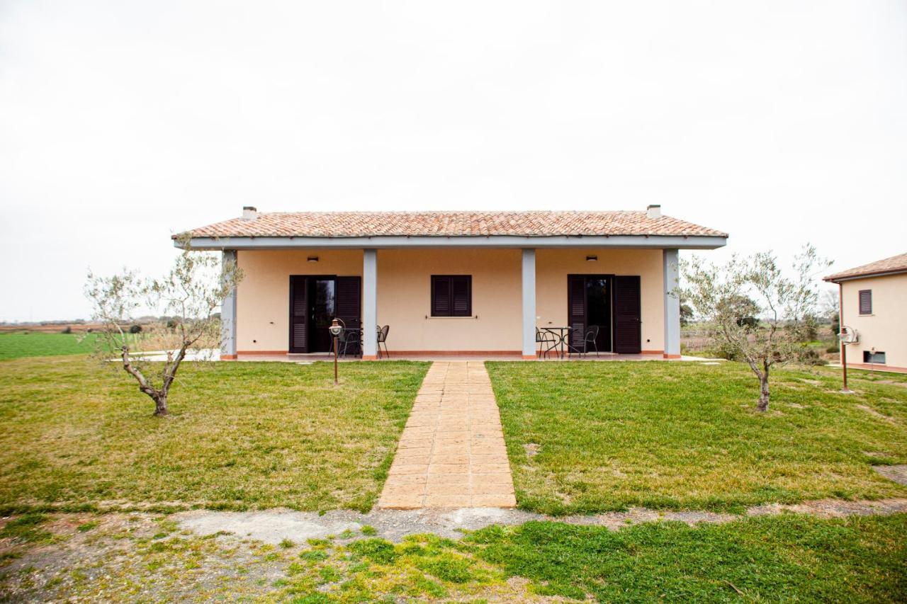 Podere Giovanni Olivo تاركوينيا المظهر الخارجي الصورة